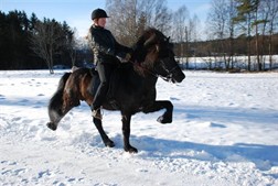 Gymir vinter